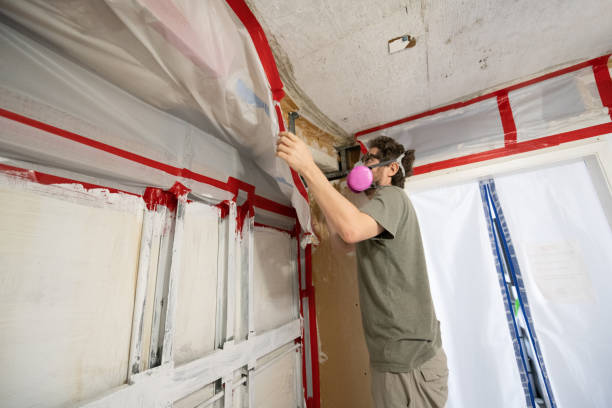 Best Attic Mold Removal  in Florence, KY
