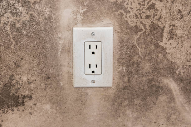 Best Dehumidification Services  in Florence, KY